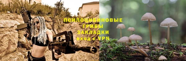 прущие крисы Алзамай