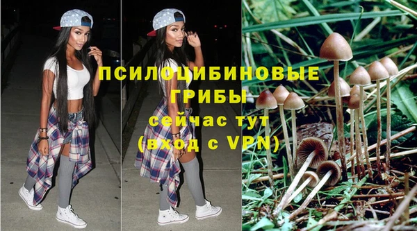 прущие крисы Алзамай