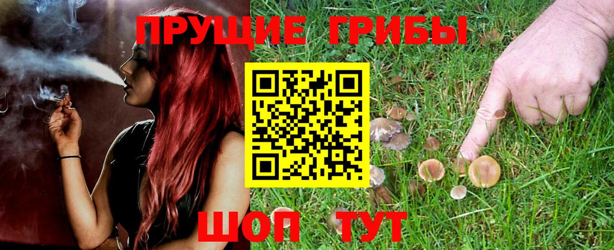 Псилоцибиновые грибы Cubensis  Псилоцибиновые грибы Psilocybine cubensis  Вход с VPN  Заинск 